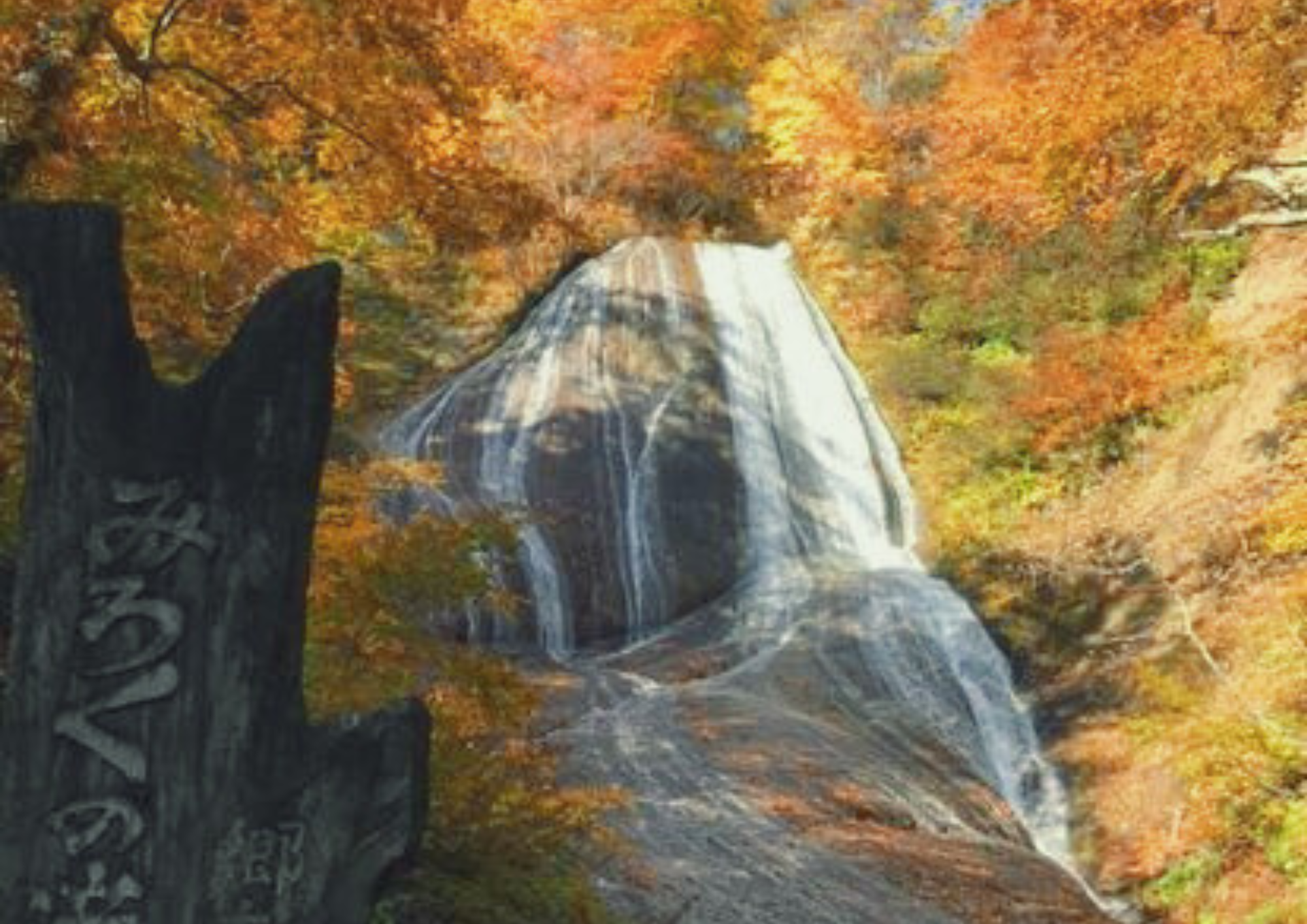 🌰秋の始まり🍁