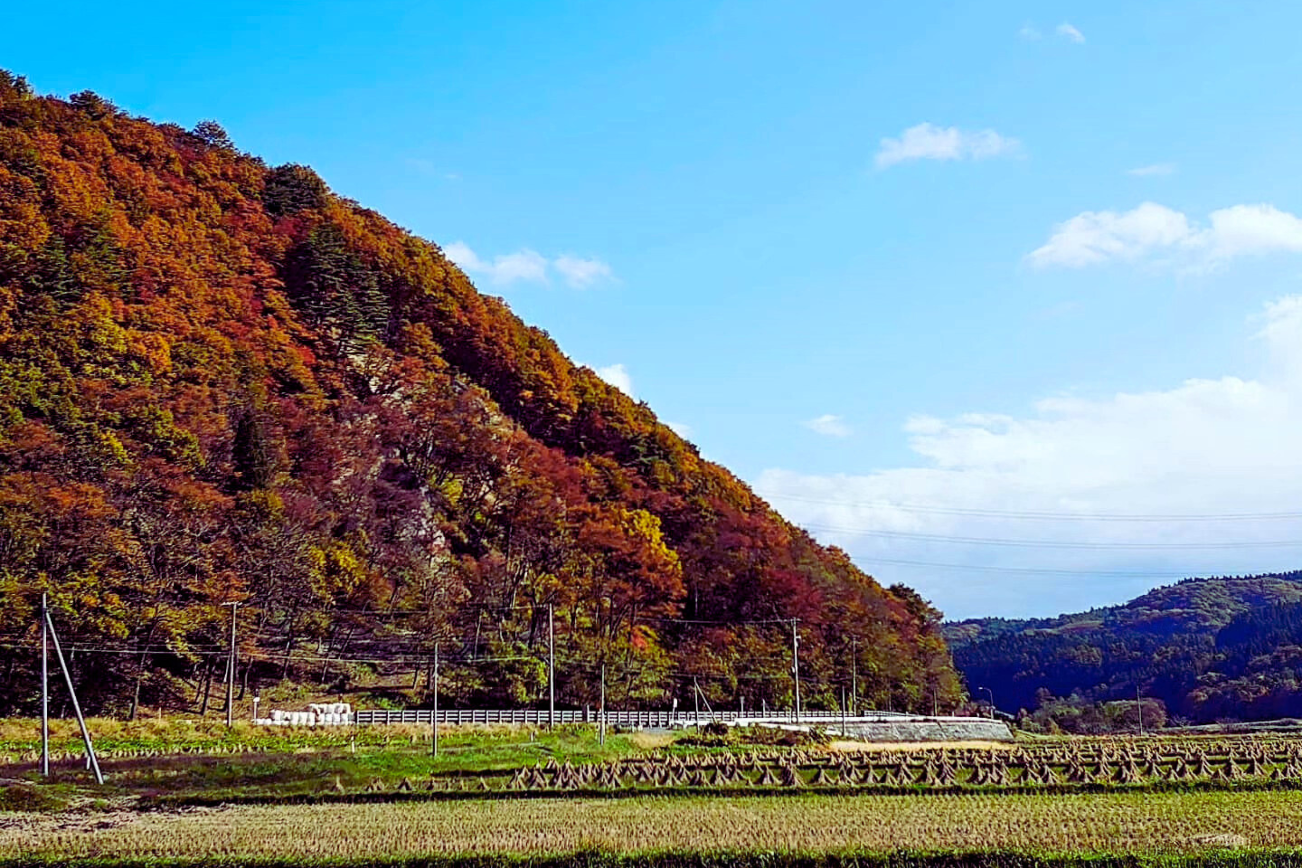 １０／３０（木）〜１１／１（土）のラインナップです！！！