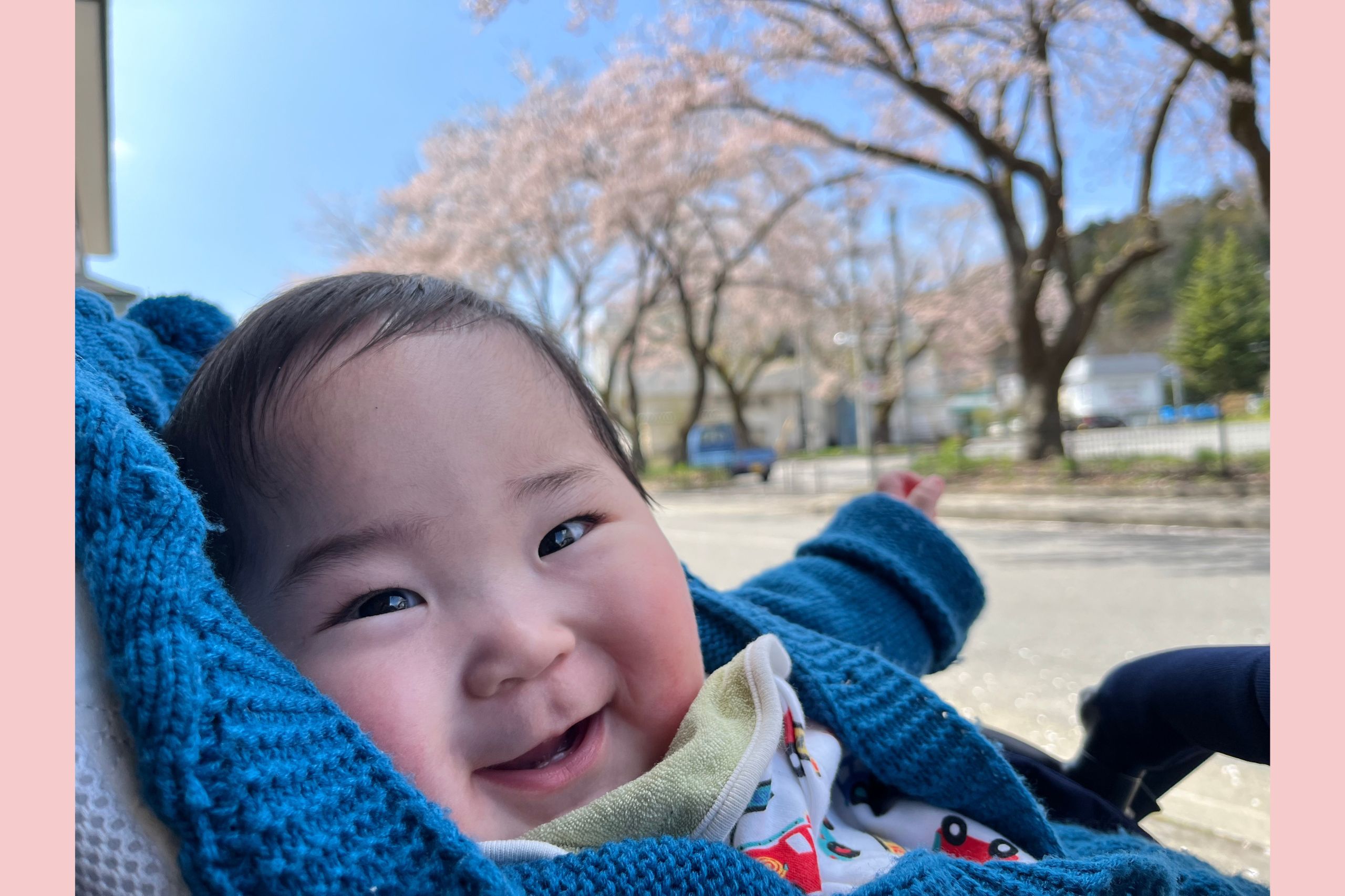 そろそろお花見シーズン🌸